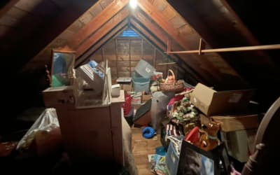 ACE Junk Removal photo