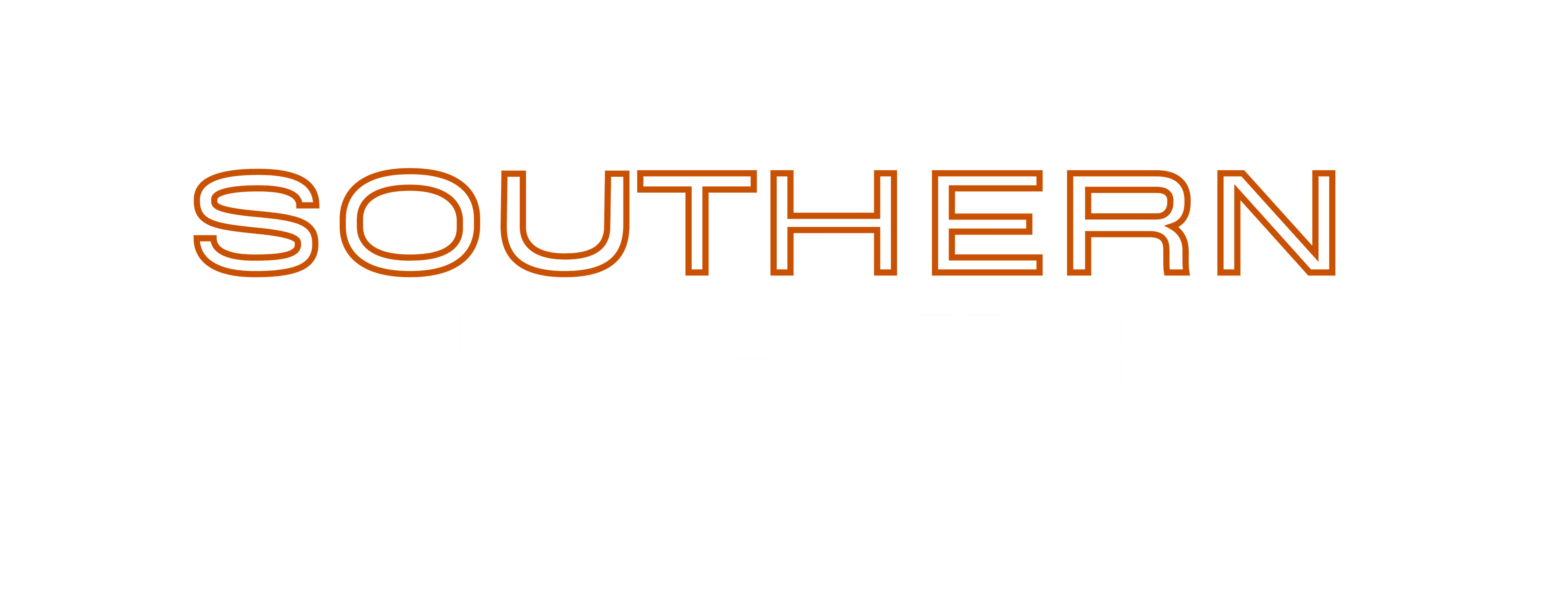 Southern Dumpster LLC photo