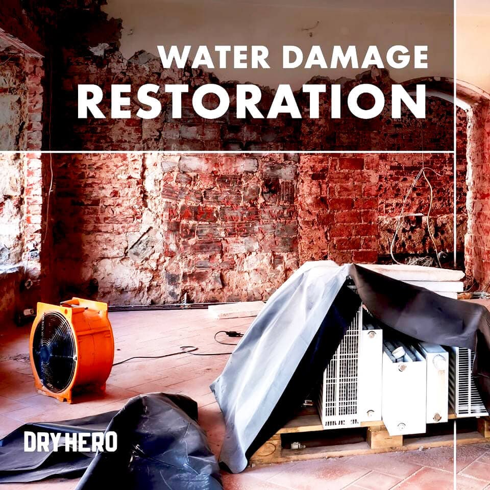 DryHero Water & Mold photo