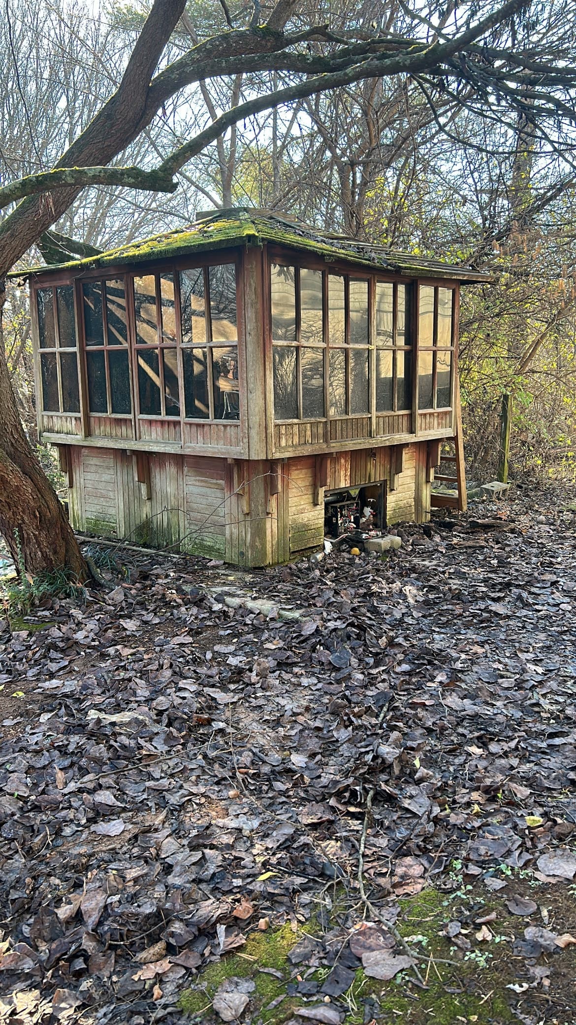 East Tennessee Junk Away photo