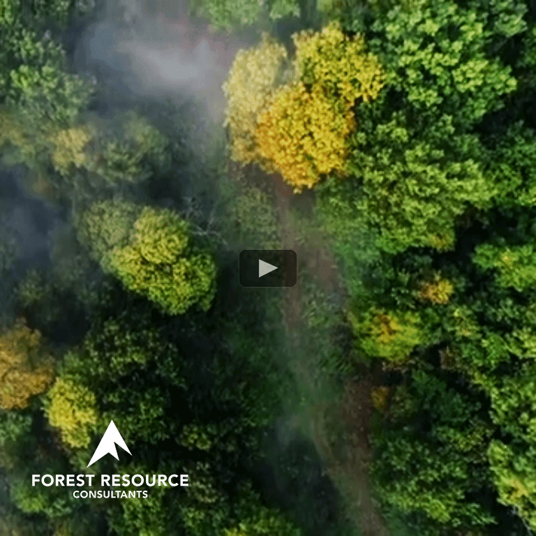 Forest Resource Consultants, Inc. photo
