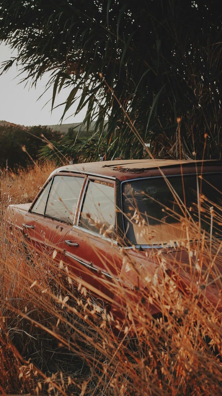 Fred's Auto Removal photo