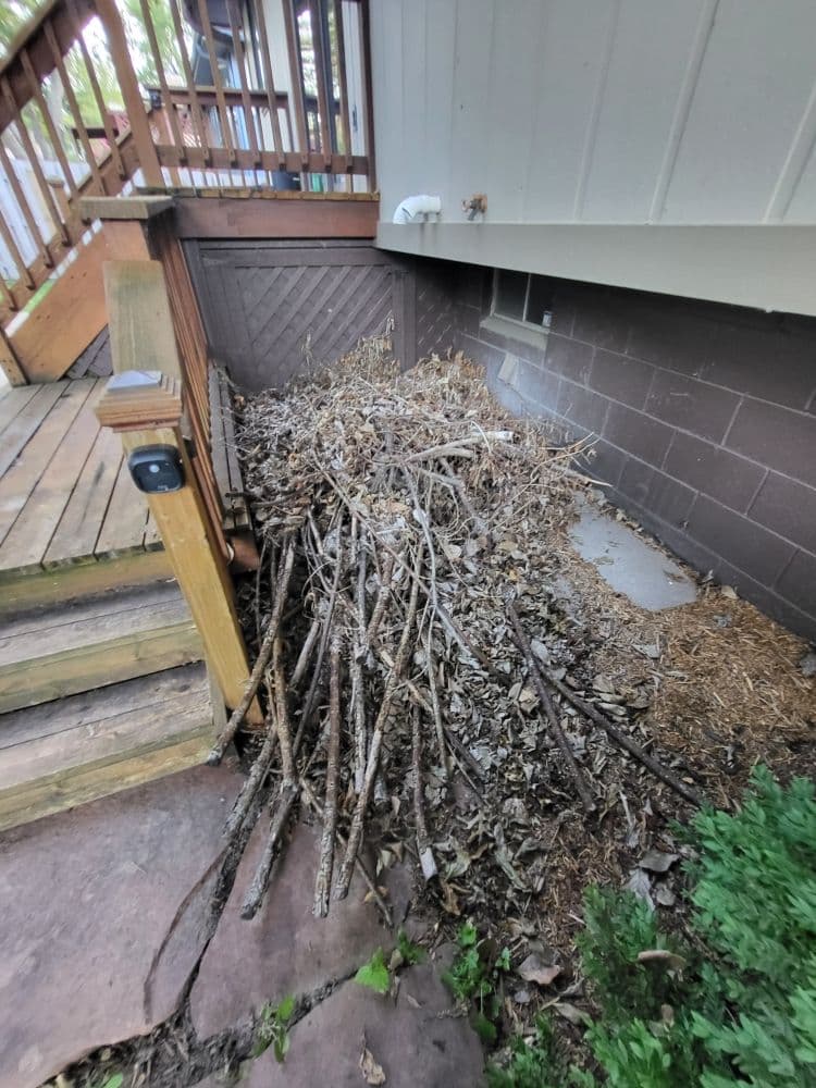 Git R Done Demo and Junk Removal photo
