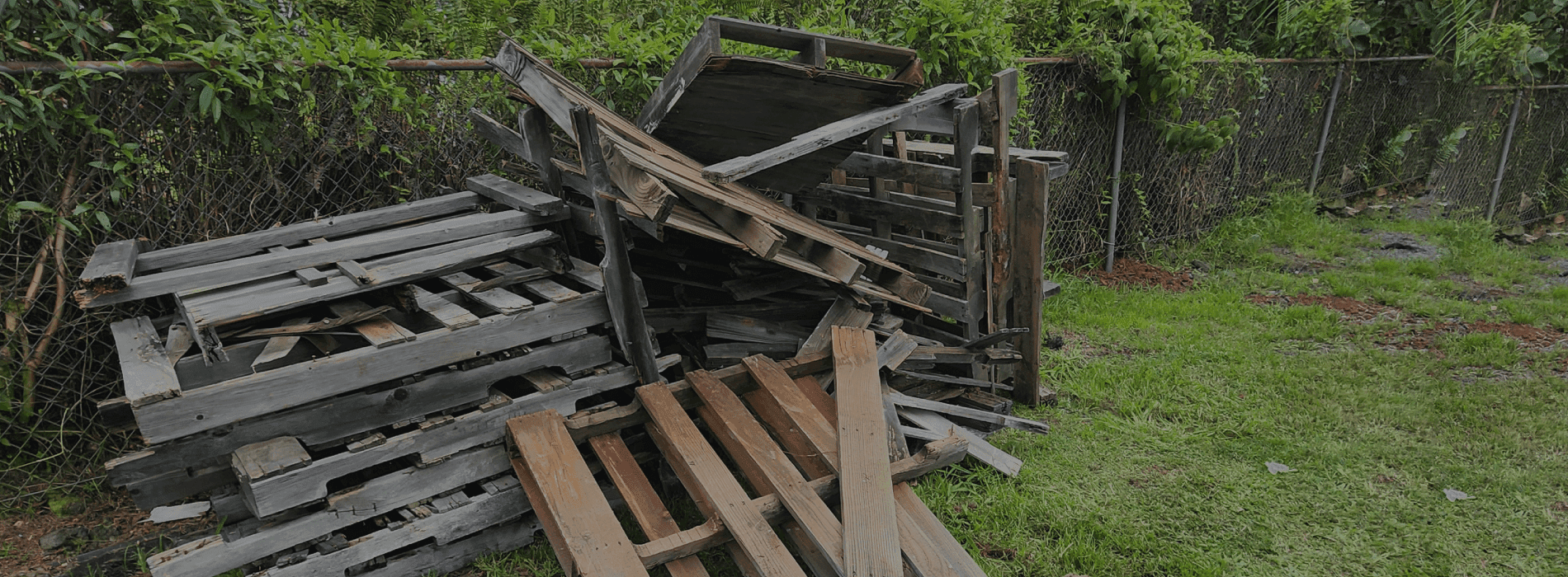 Island Wide Junk Removal Specialist photo