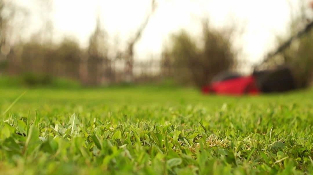 Prairie Dirt Solutions photo