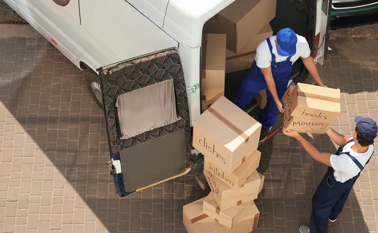 LEVEL15 MOVING photo