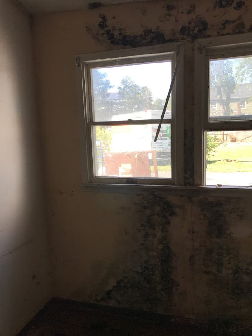 GreenEx Cleanouts® - photo 3