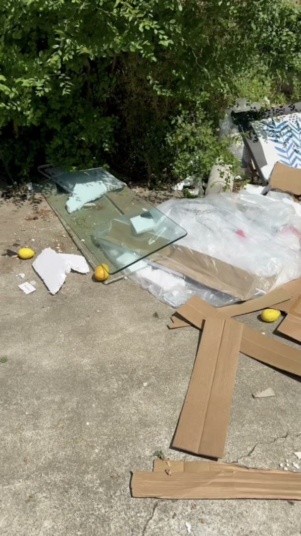 Bay Area Wide Hauling & Junk Removal - photo 2