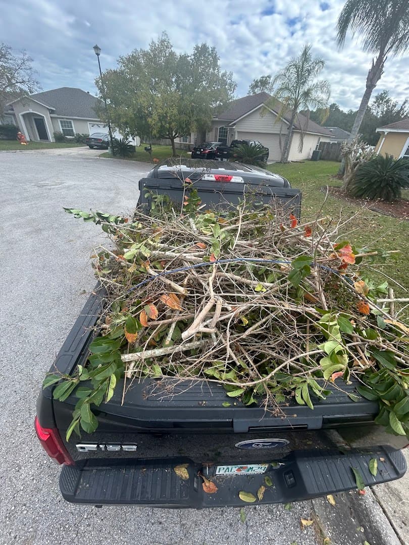 Jax Junk Cats - Junk, Trash & Yard Waste Removal - photo 2