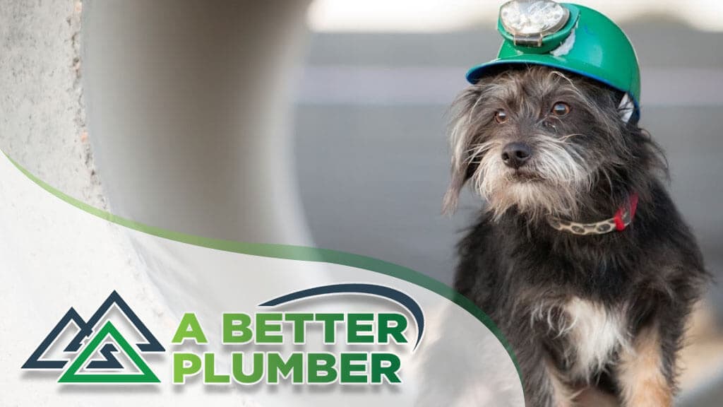 A Better Plumber (an Absolute Plumbing Company) - photo 1