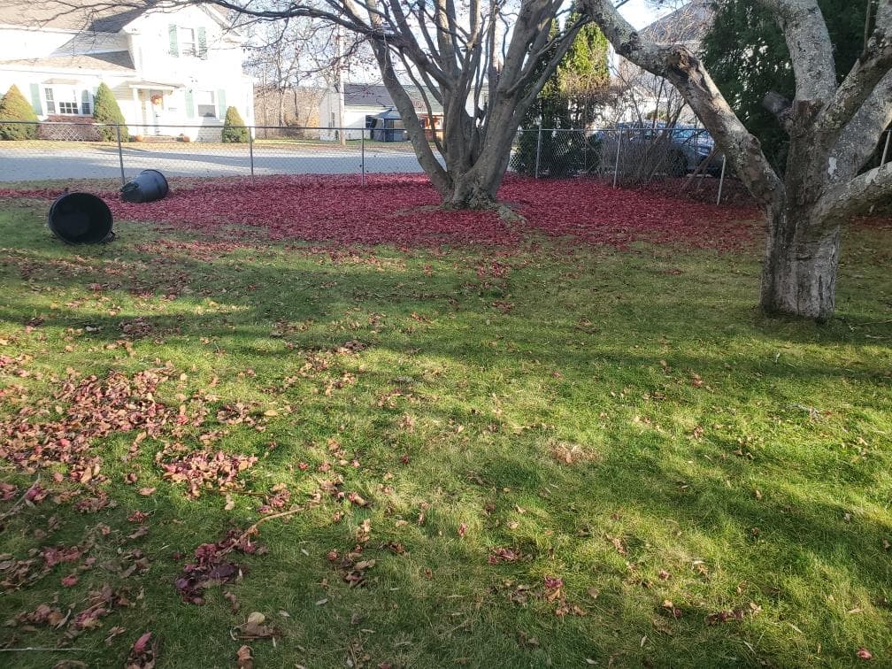Decluttering Wizards LLC - photo 2