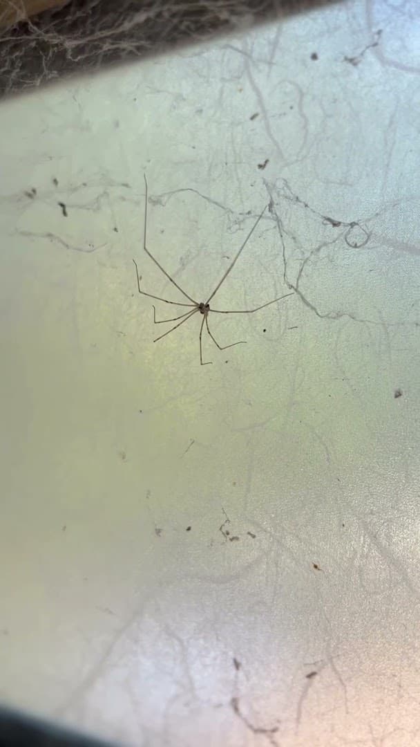 Thrasher Pest Control - photo 2