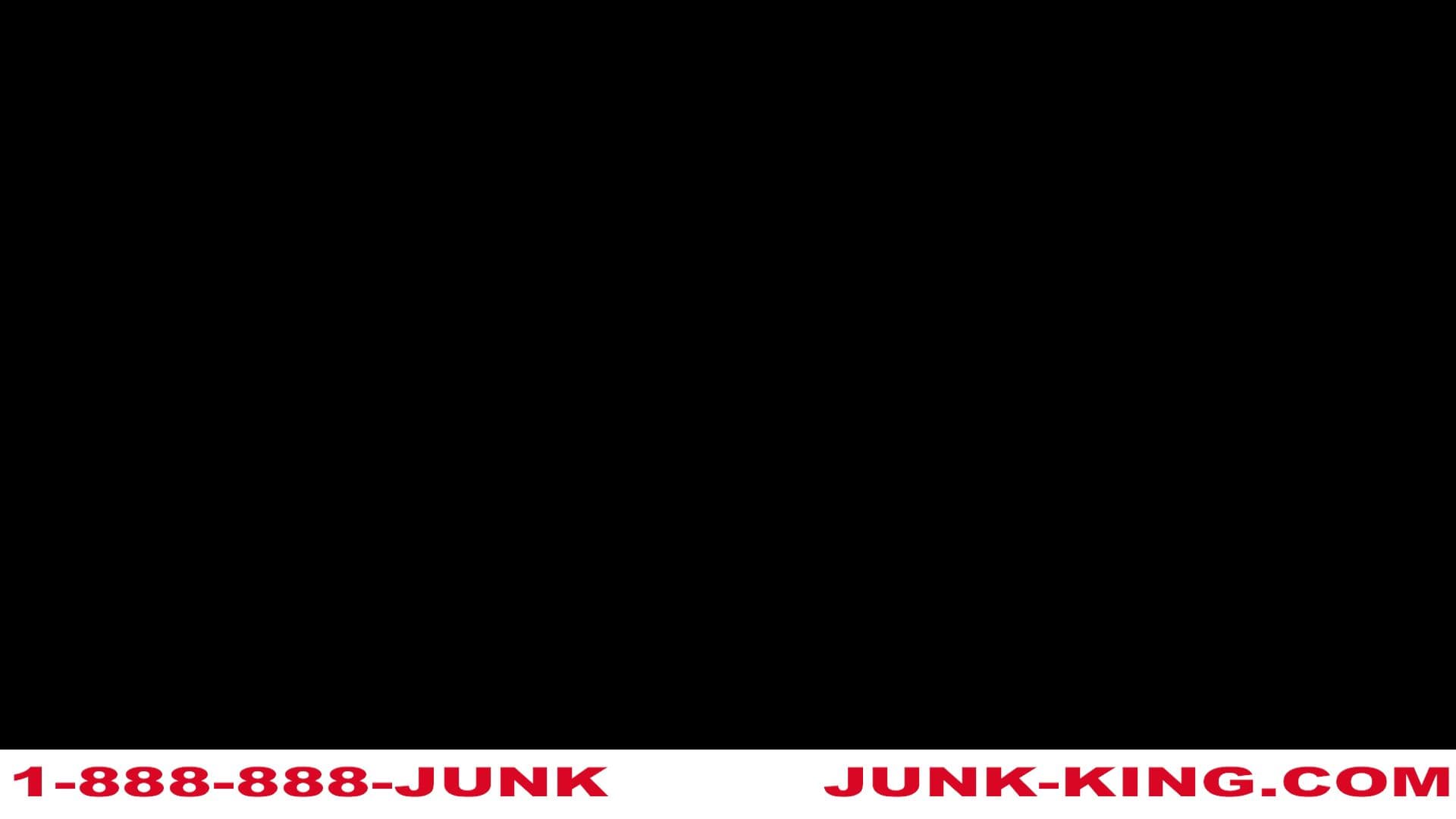 Junk King Kansas City - photo 2