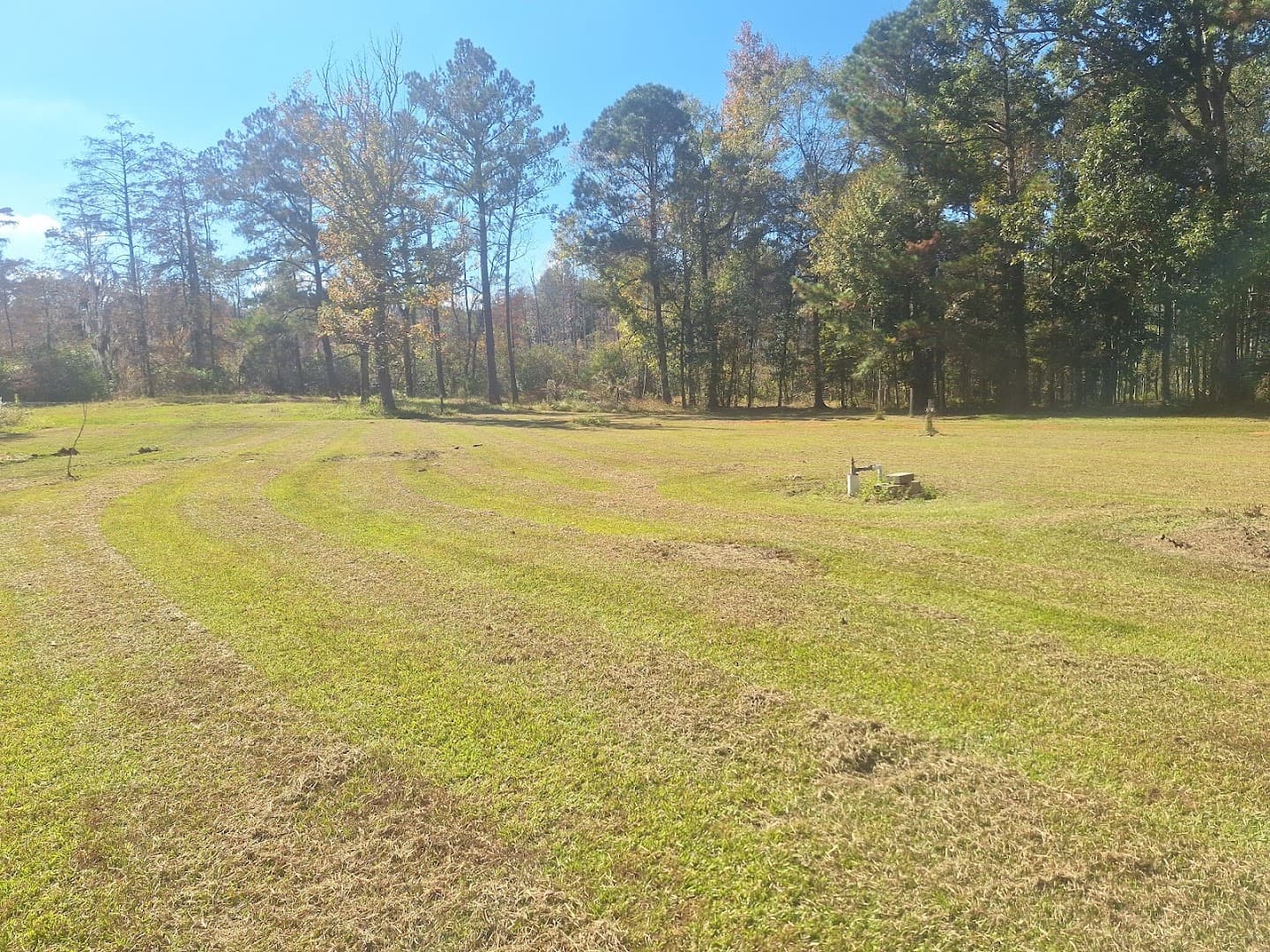 Anderson property clear-out services LLC - photo 2