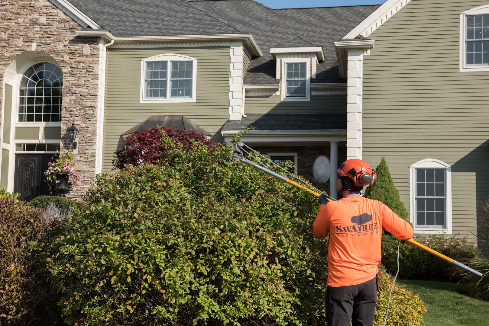 SavATree - Tree Service & Lawn Care - photo 1
