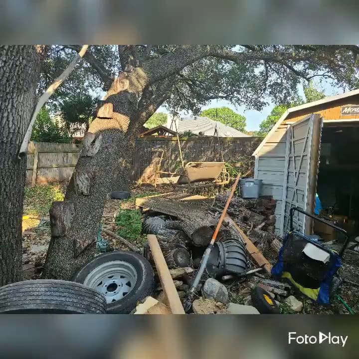 JDog Junk Removal & Hauling Fort Worth - photo 2