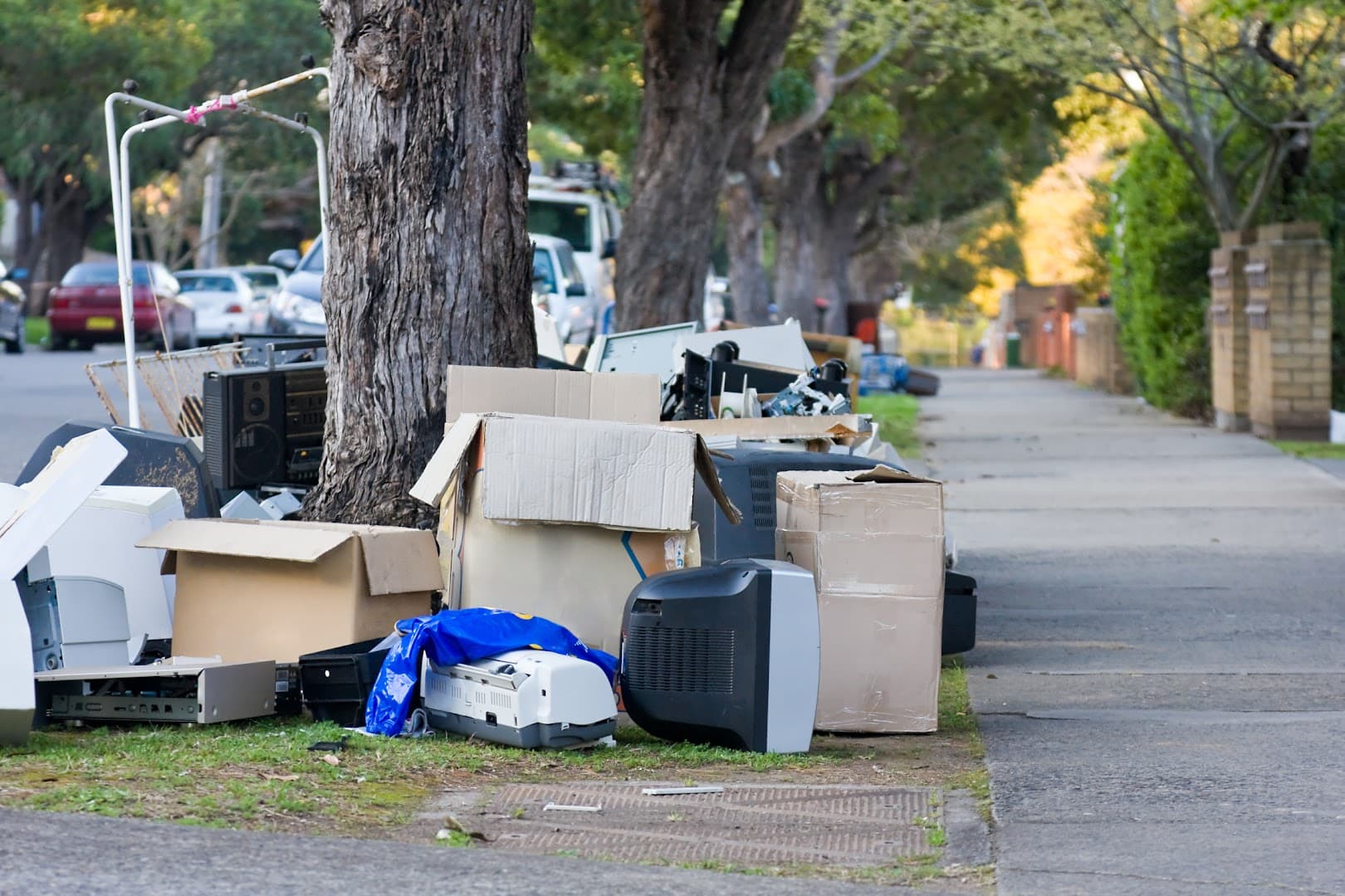 Action Junk Removal - photo 3