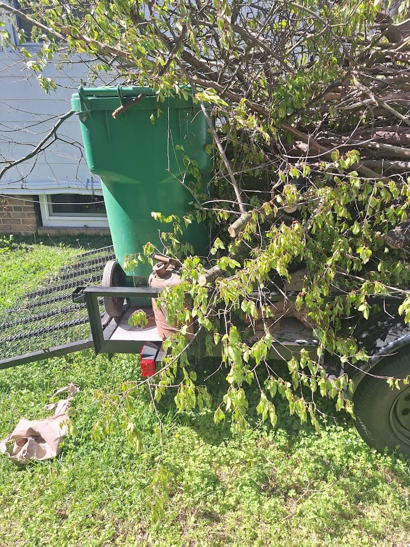 Johnson Debris Removal and Hauling - photo 2