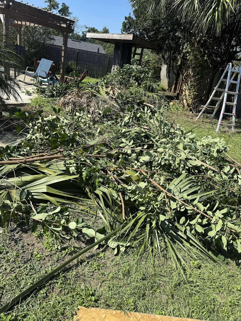 Jax Junk Cats - Junk, Trash & Yard Waste Removal - photo 3