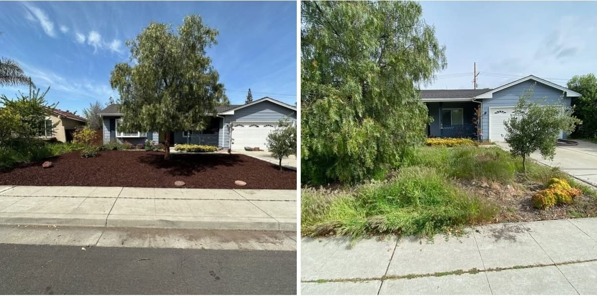 San Jose Yard Clean Up - photo 2
