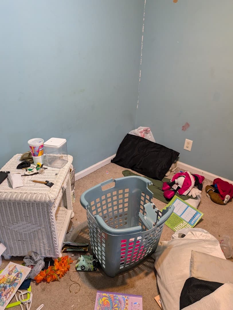 Budget Junk Removal of Fayetteville - photo 2
