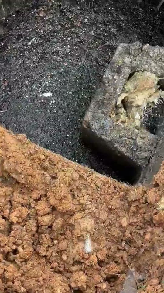Zoom Drain - photo 2
