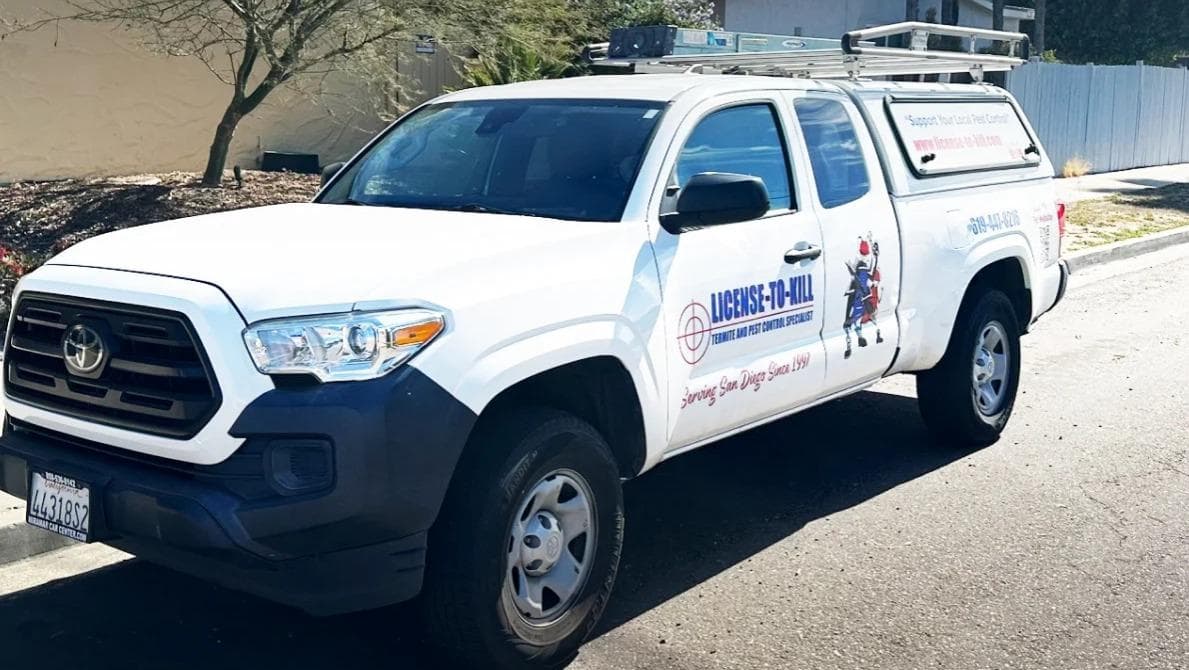 License To Kill Termite Control And Pest Control - photo 1