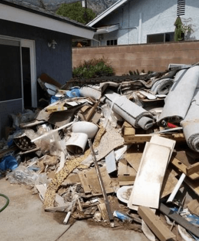 Go Green Junk Free - photo 2