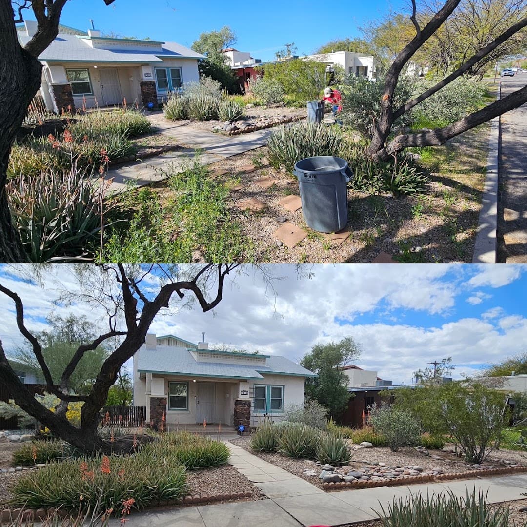 Augusta Lawn Care and Landscape Maintenance - photo 3