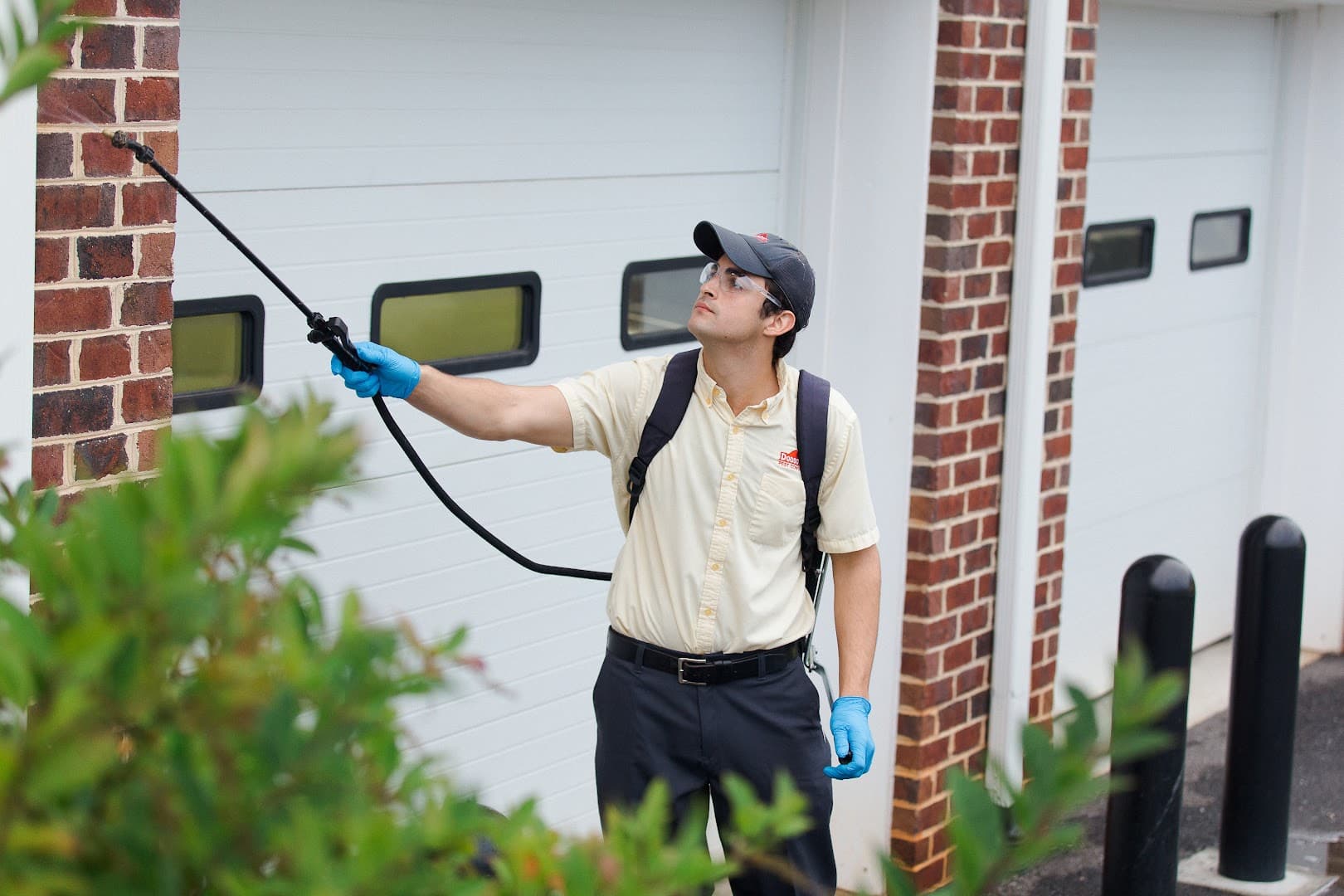 Dodson Pest Control - photo 1