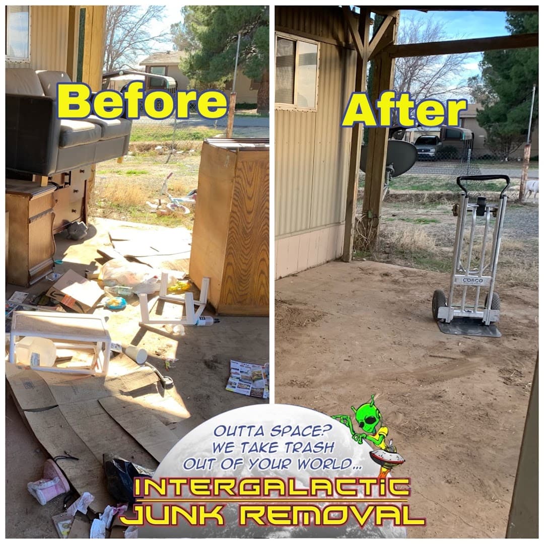 Intergalactic Junk Removal - photo 1