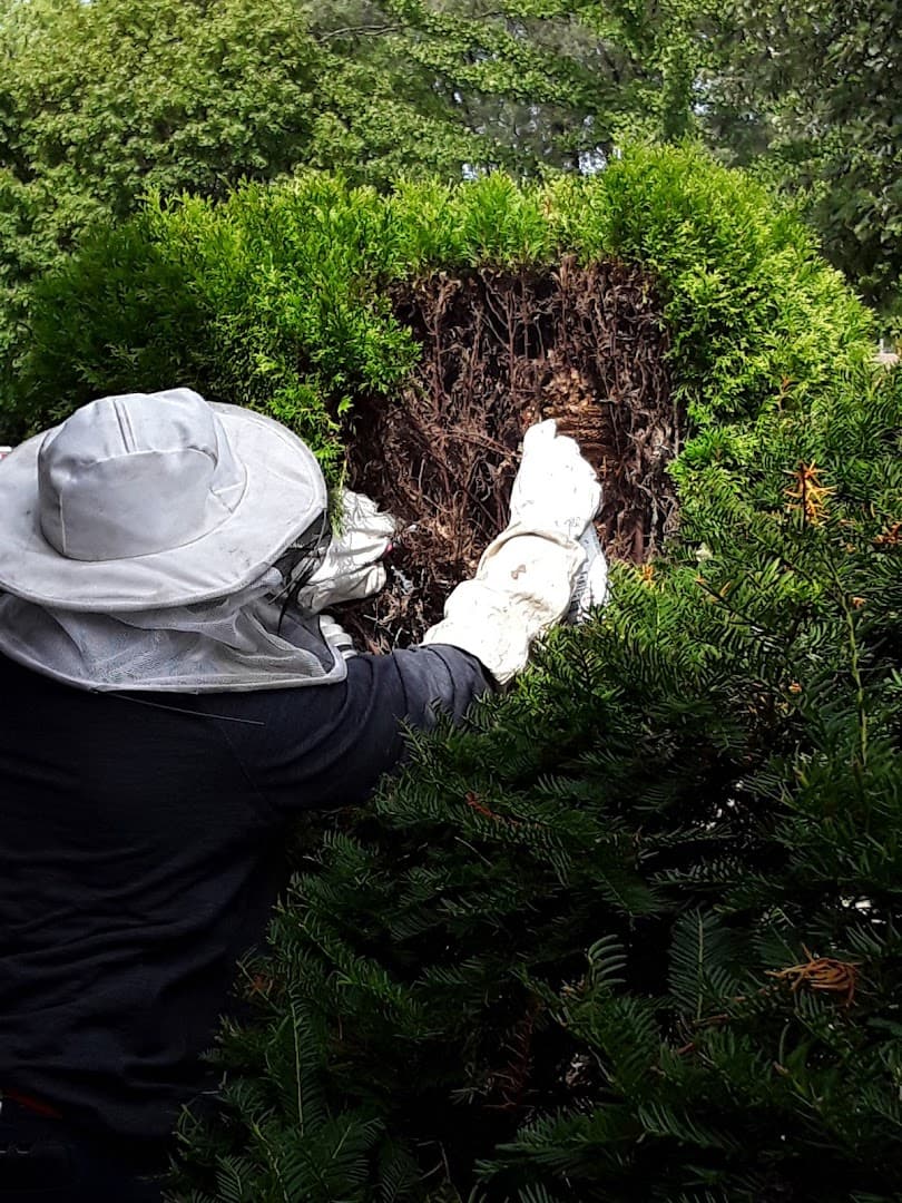 Effective Pest Solutions - photo 1