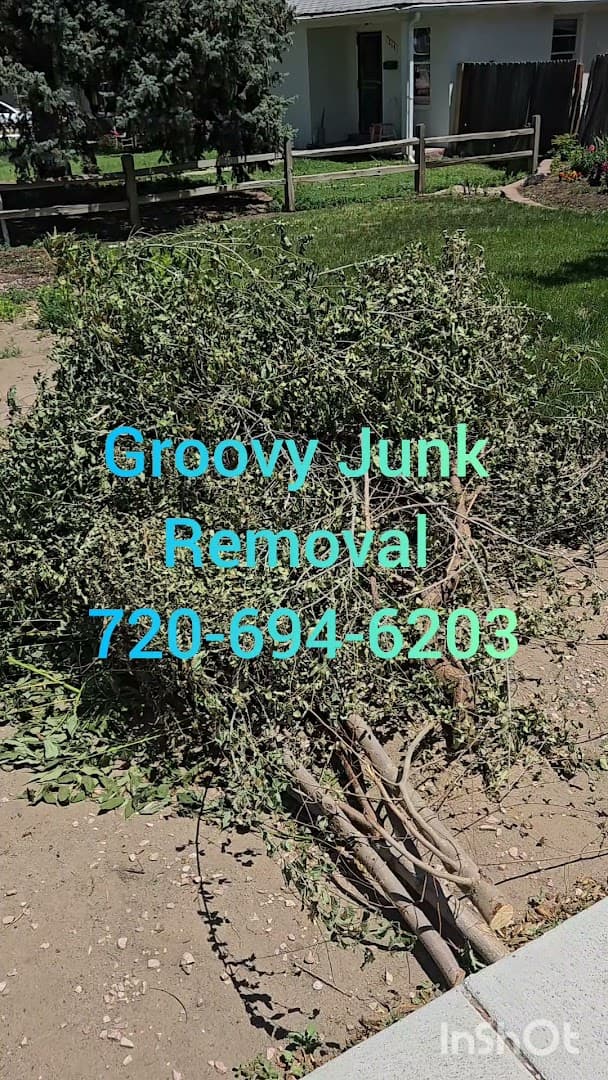 Groovy Junk Removal LLC - photo 2