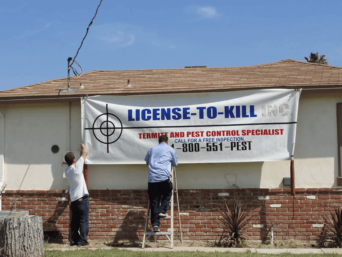 License To Kill Termite Control And Pest Control - photo 3