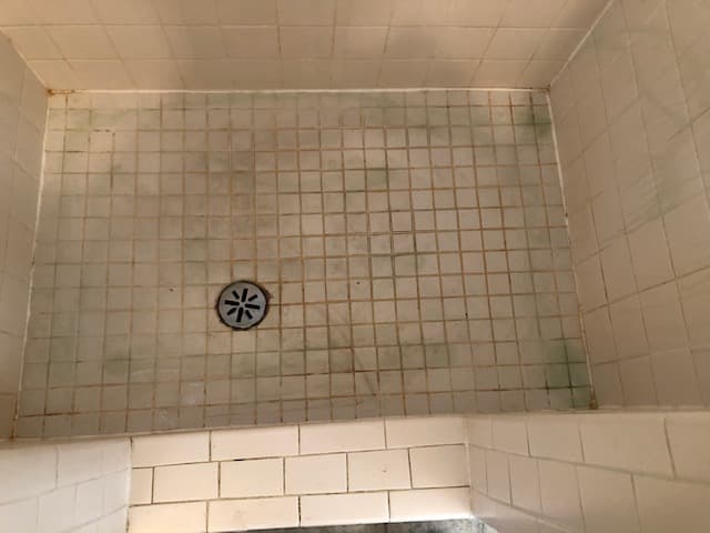 This Clean House - photo 2