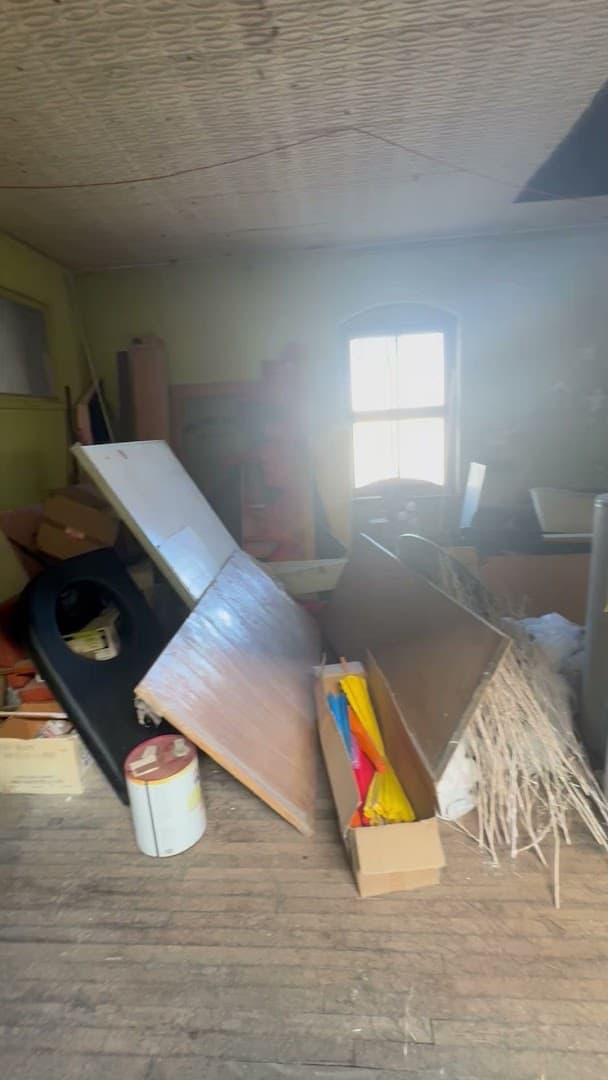 Goodbye Junk - photo 2