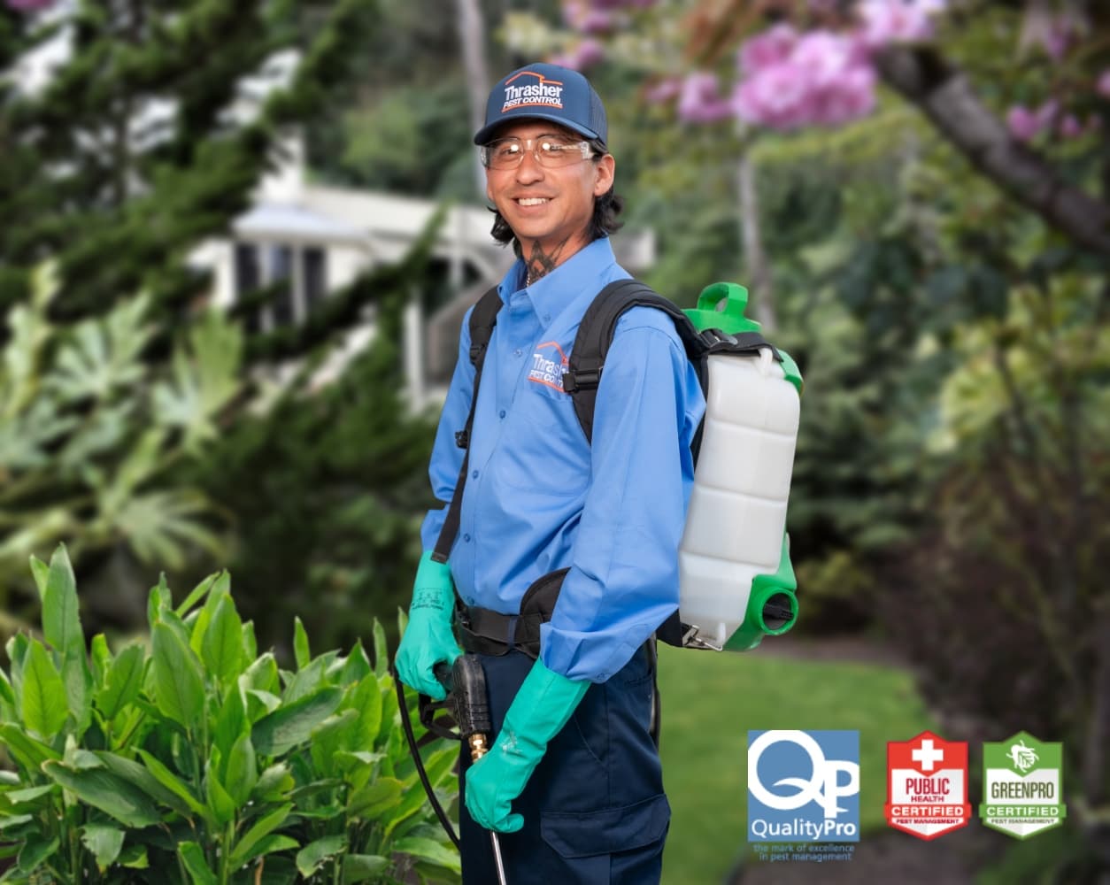 Thrasher Pest Control - photo 1
