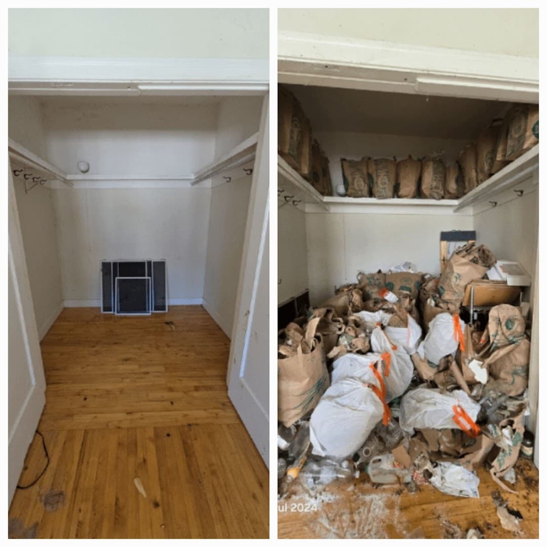 Casa Azul Janitorial & Hoarding Services. - photo 3