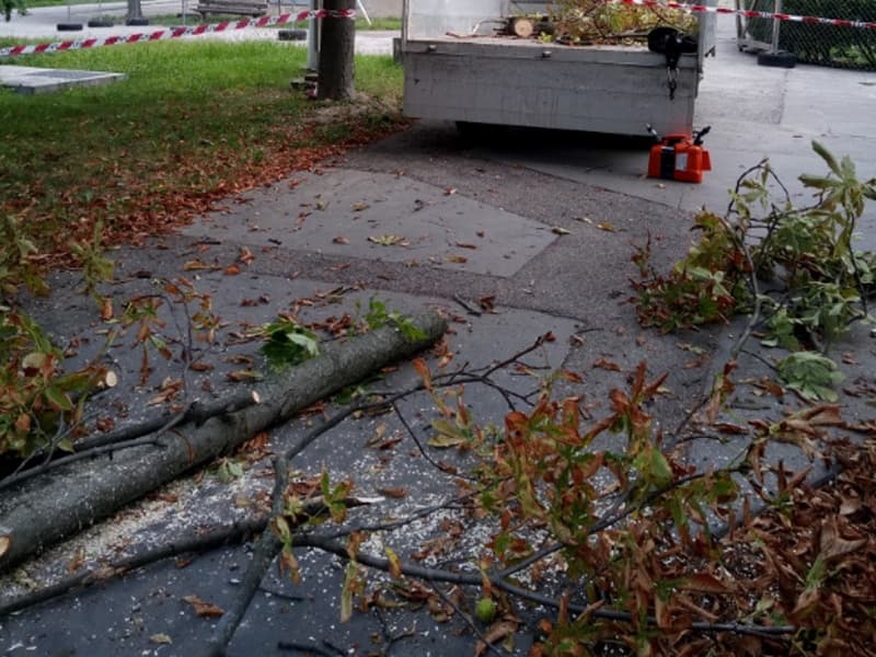 Philadelphia Hauling, Cleanouts, Furniture Removal - photo 3