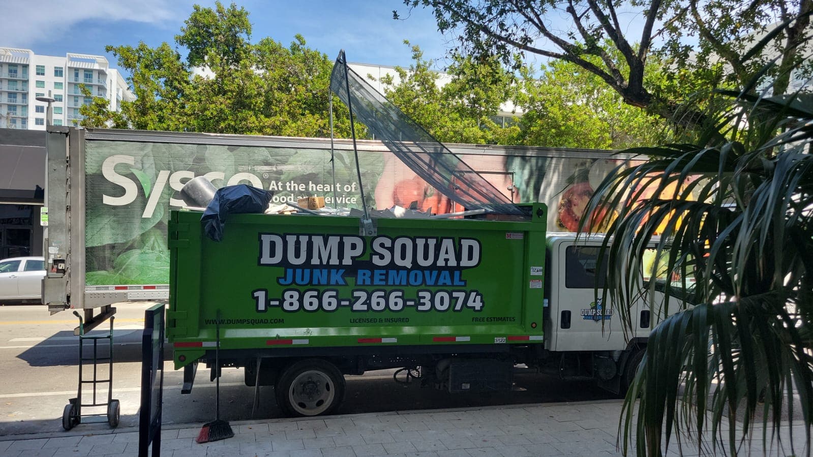 DUMP SQUAD JUNK REMOVAL - photo 1