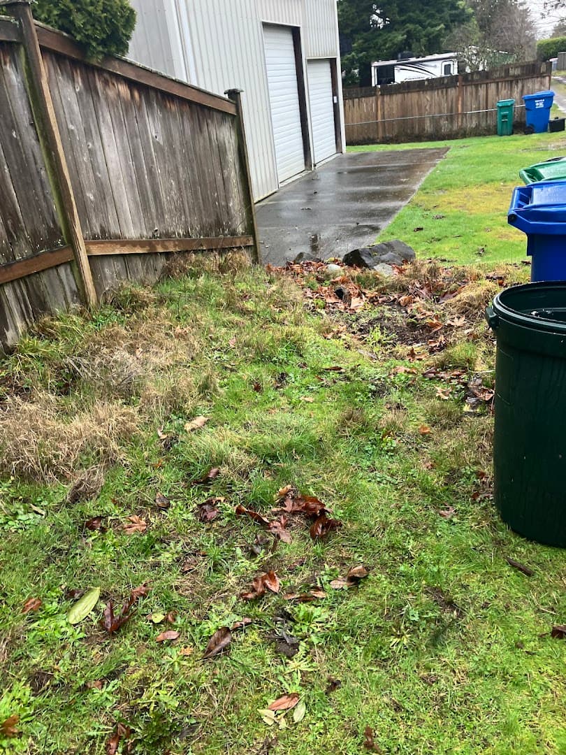 Action Junk Removal Seattle - photo 2