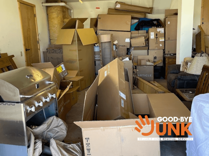 Goodbye Junk - photo 1