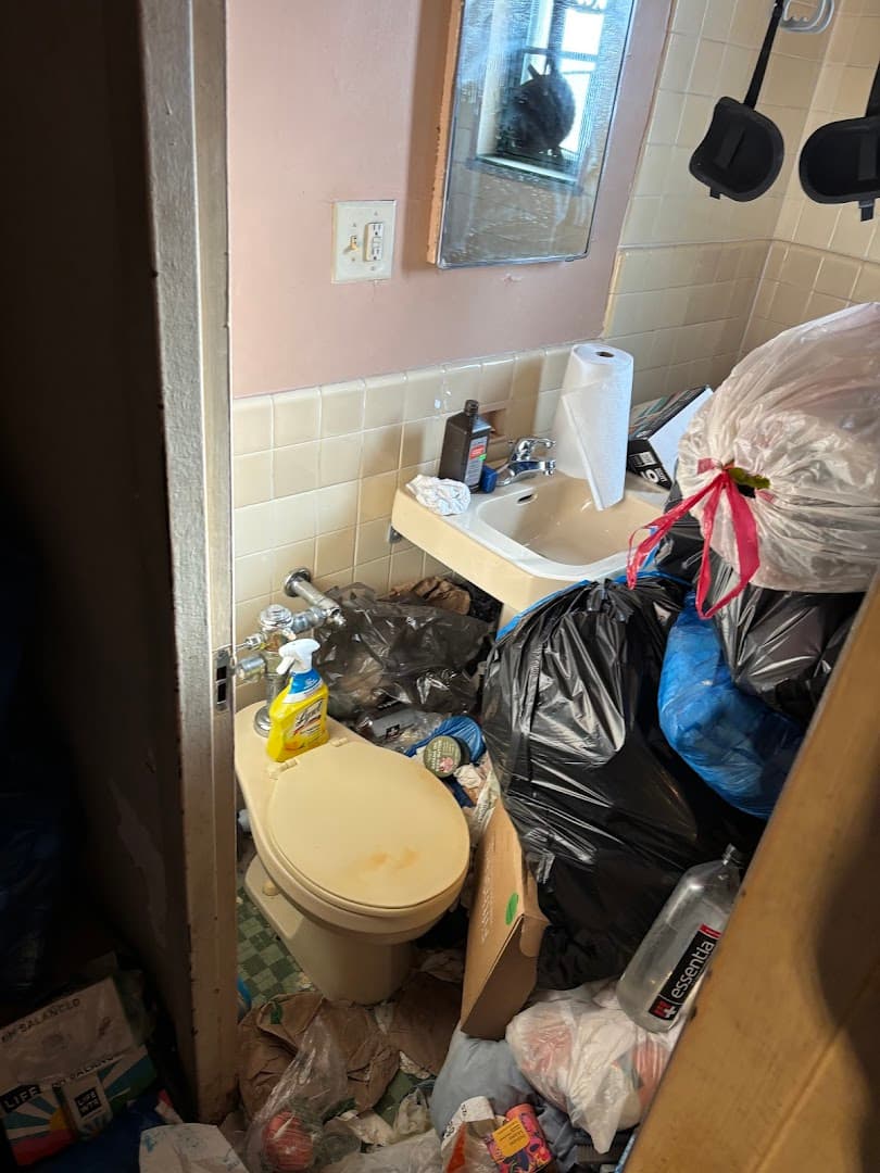 BEST DEALZ JUNK REMOVAL - photo 3