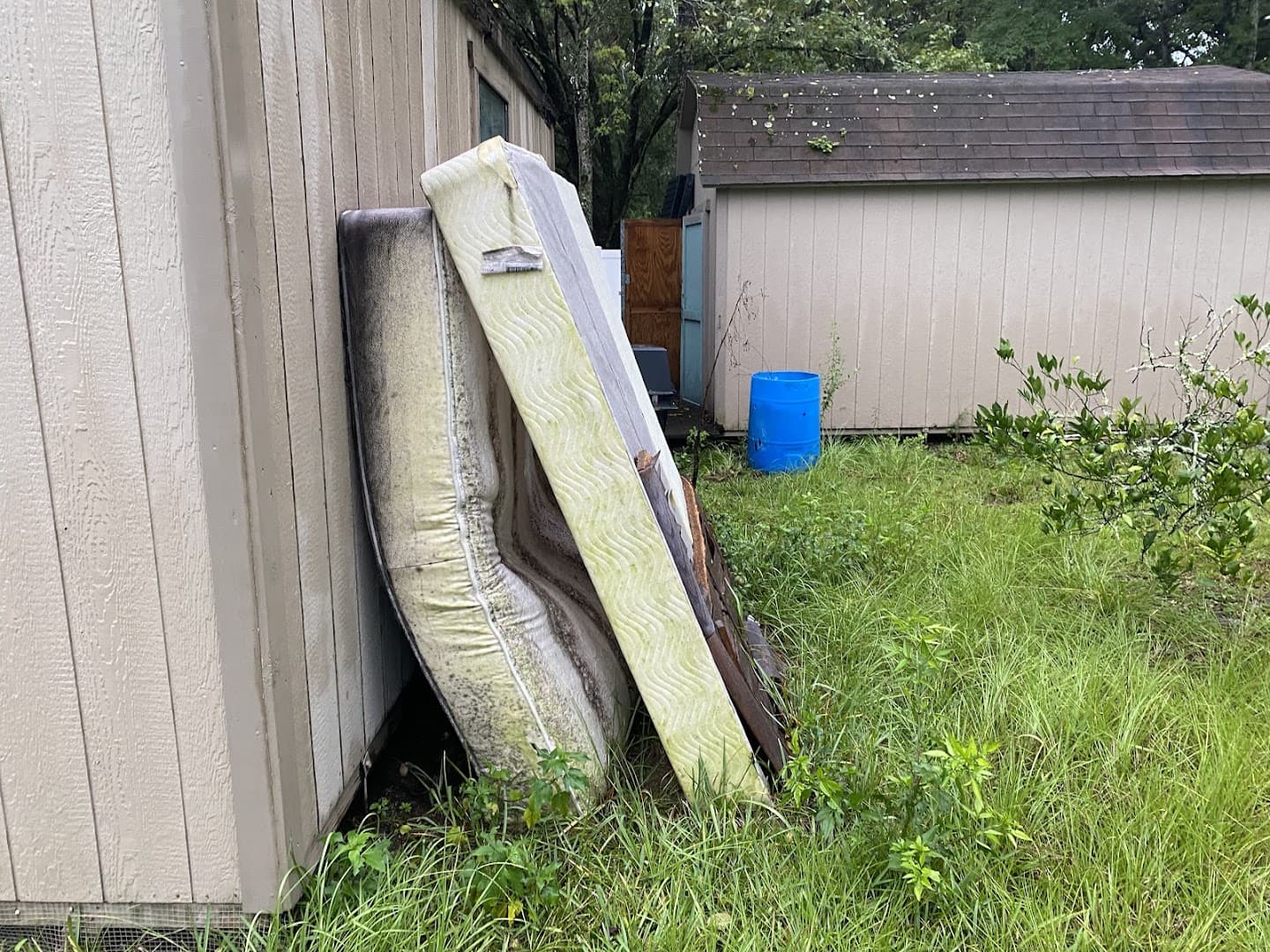 LG Residential Cleanout Services - photo 2