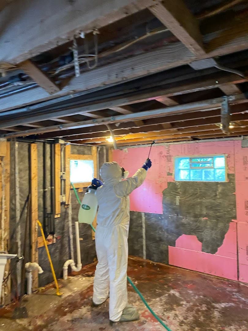 The CleanUP Guys - photo 3