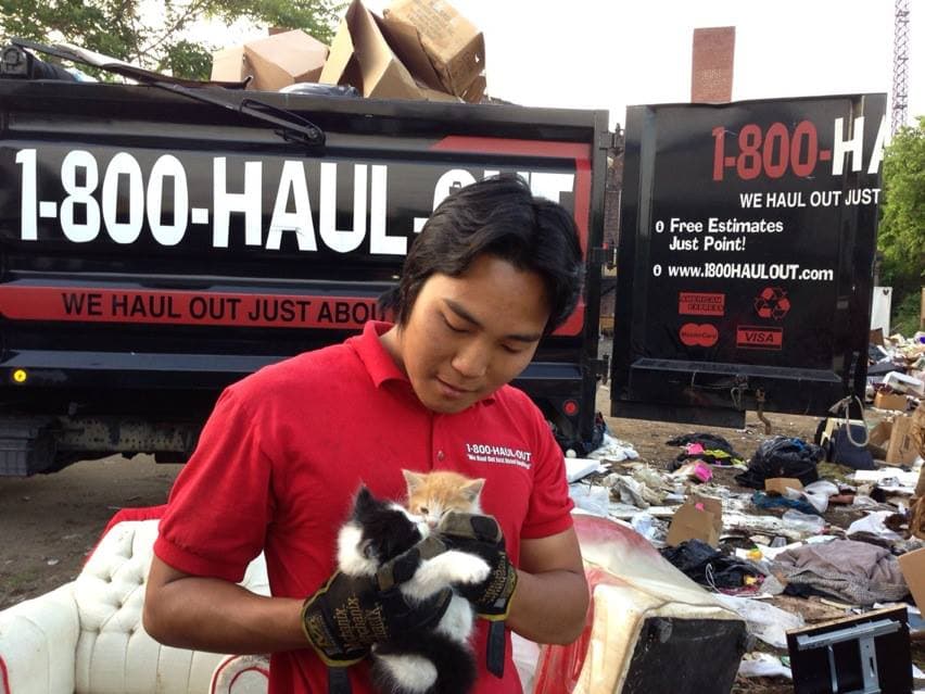 1-800-Haul-Out Pittsburgh Junk Removal - photo 1
