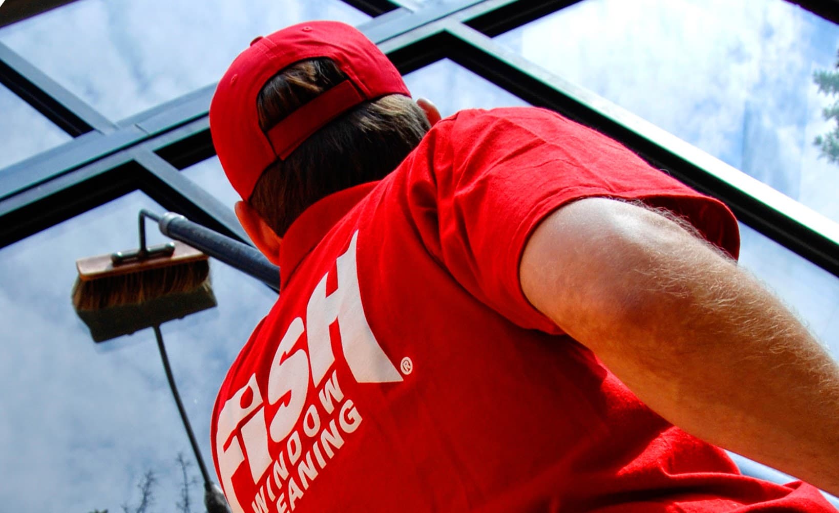 Fish Window Cleaning - photo 1