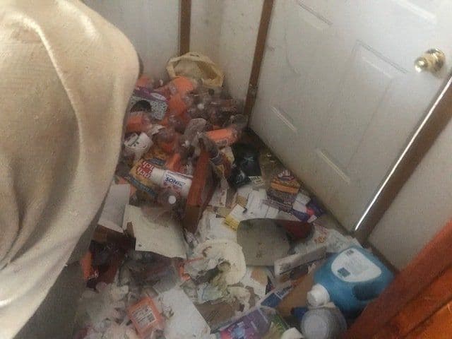 Pack Haul | Junk Removal & Moving Services photo