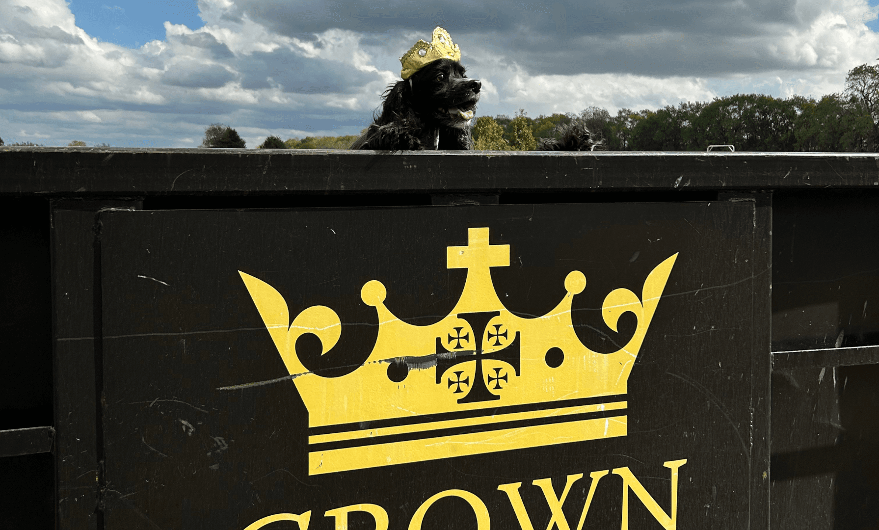 Crown Dumpster and Junk Removal photo