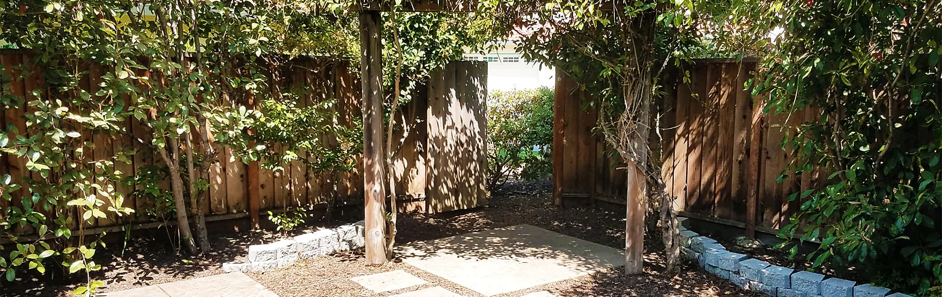 San Jose Yard Clean Up photo